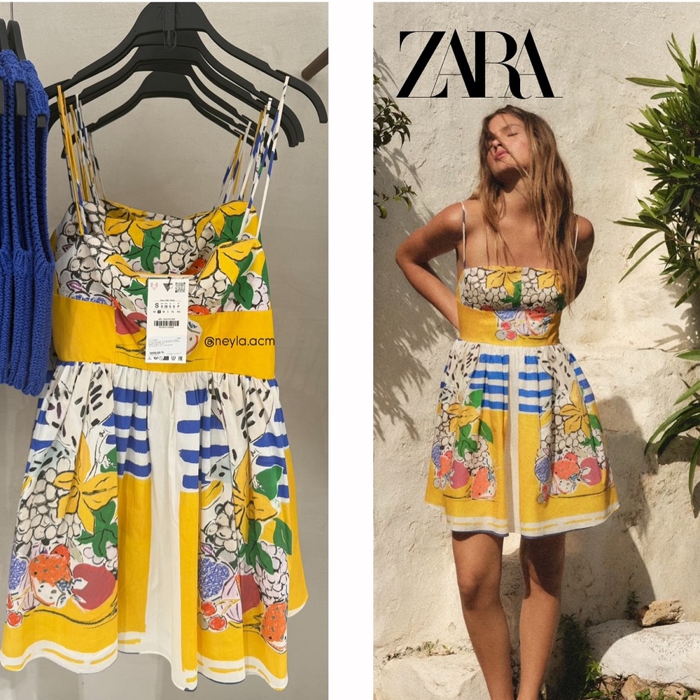 Zara Multicolor Floral and Striped Dress